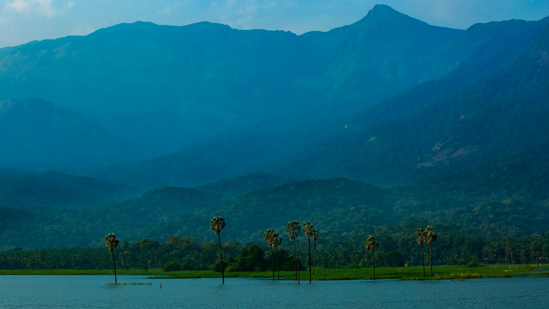 Palakkad